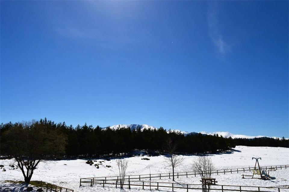 Apt Confortable Au Pied Des Pistes Et De La Foret Bolquere Bagian luar foto