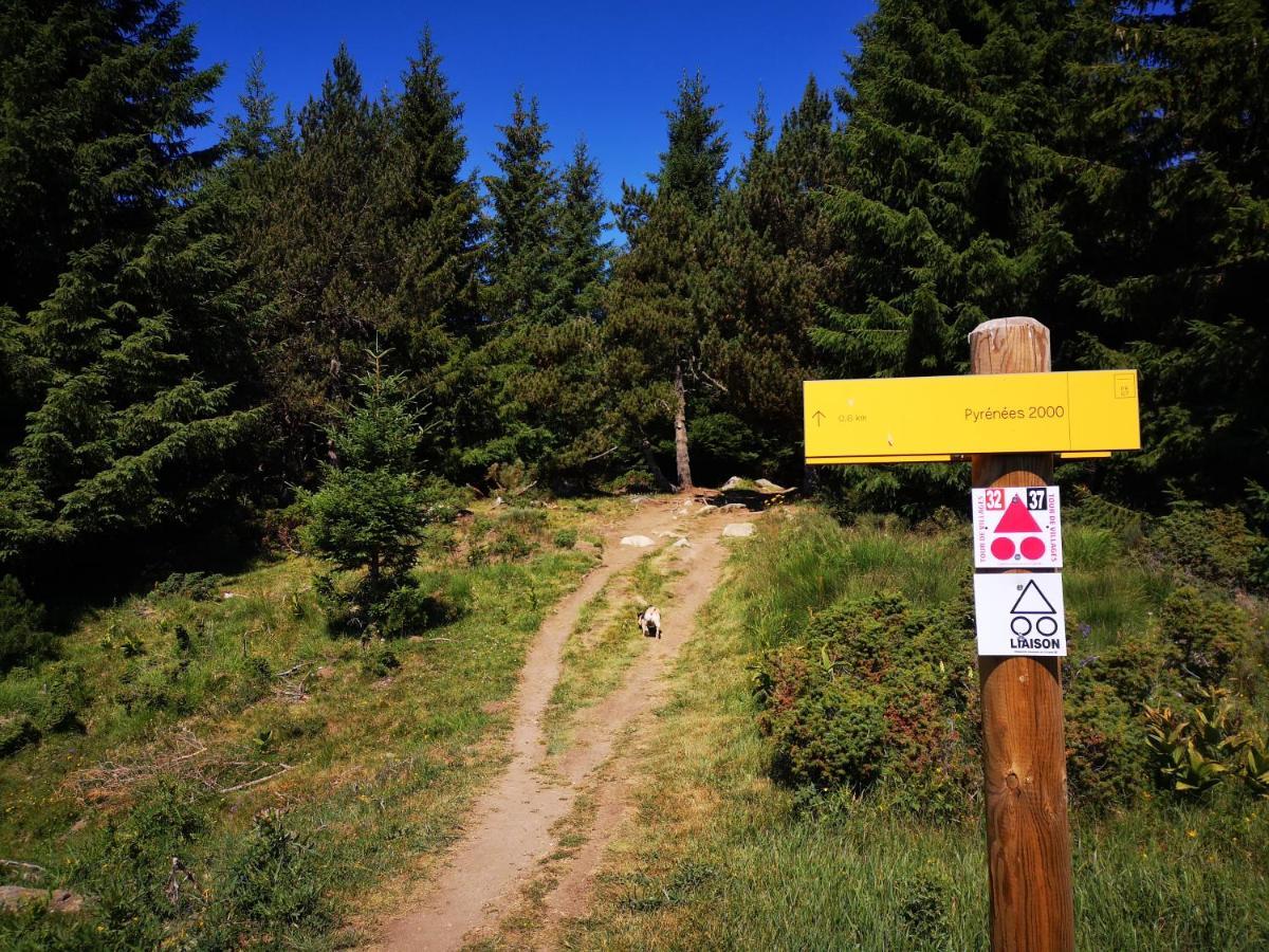 Apt Confortable Au Pied Des Pistes Et De La Foret Bolquere Bagian luar foto