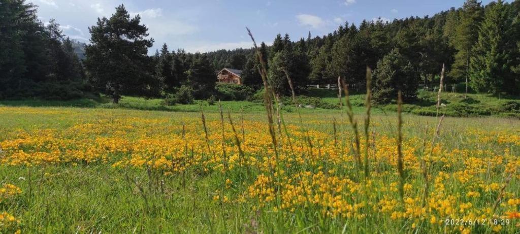 Apt Confortable Au Pied Des Pistes Et De La Foret Bolquere Bagian luar foto