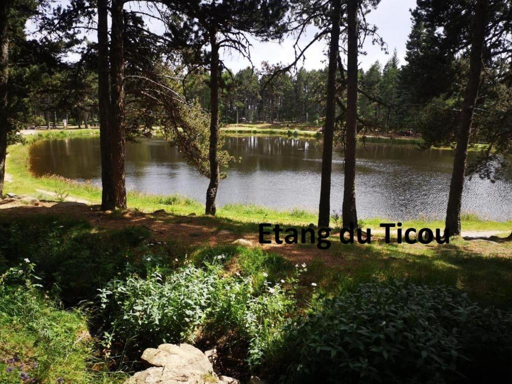 Apt Confortable Au Pied Des Pistes Et De La Foret Bolquere Bagian luar foto