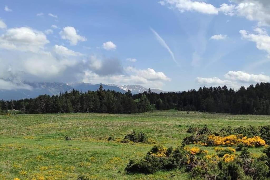 Apt Confortable Au Pied Des Pistes Et De La Foret Bolquere Bagian luar foto